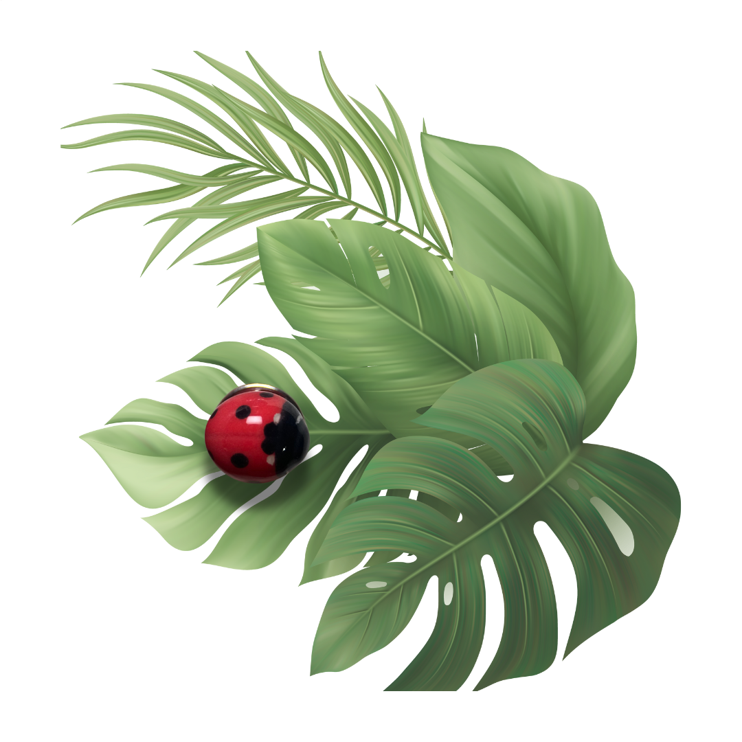 Pin’s coccinelle Original