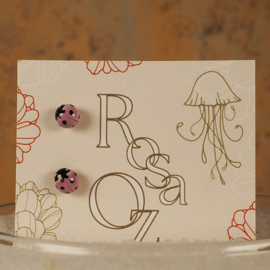 Puces Coccinelle parme