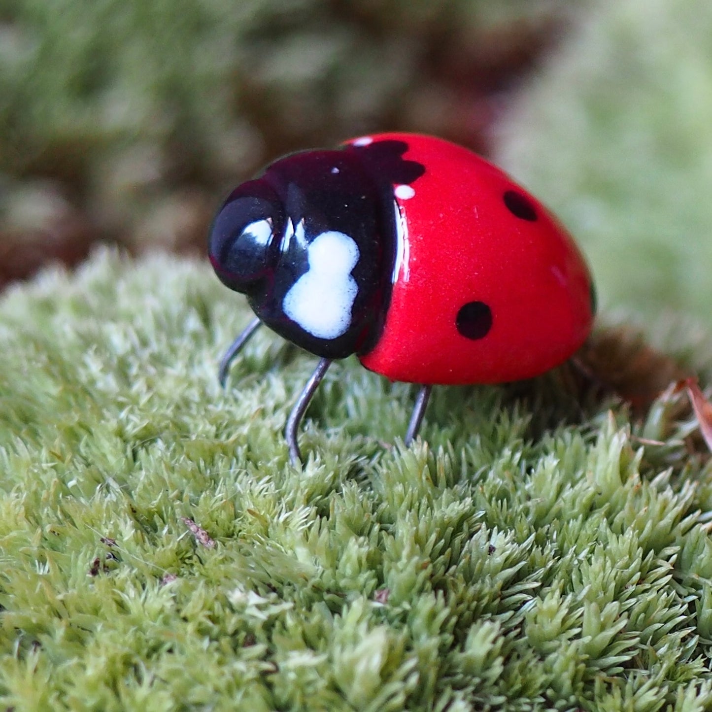 Coccinelle Bijoux de plant (20mm)