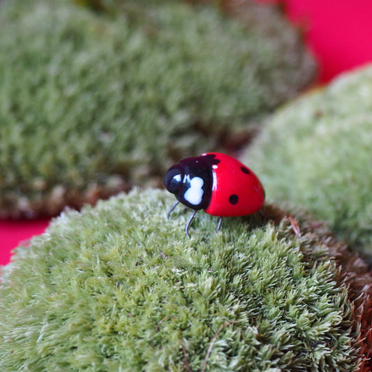 Coccinelle Bijoux de plant (20mm)
