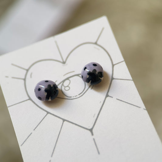 🐞Puces Coccinelle Violette