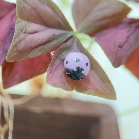 Bijou de plante Coccinelle Violette