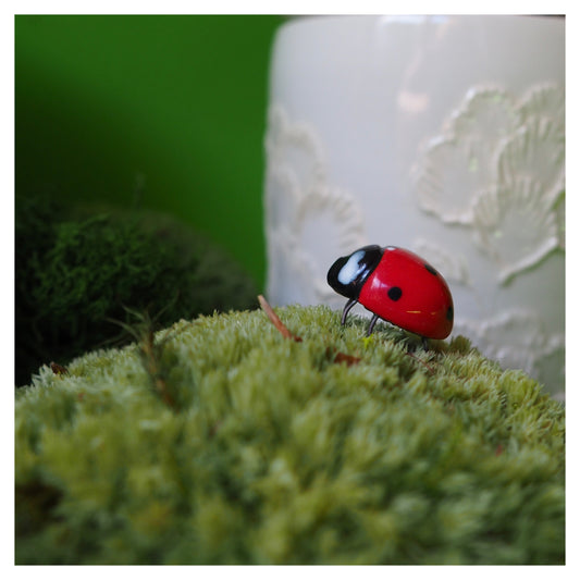 Coccinelle Bijoux de plante (10mm)